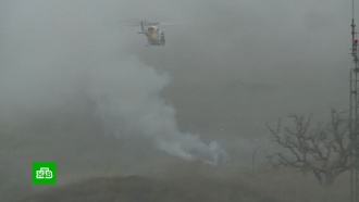 Причиной крушения вертолета Коби Брайанта мог стать туман