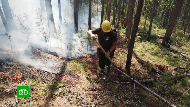 В Якутии для борьбы с лесными пожарами вызывают искусственные дожди.Якутия, лесные пожары.НТВ.Ru: новости, видео, программы телеканала НТВ