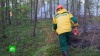 Спасатели направленными взрывами пытаются остановить пожары в Якутии