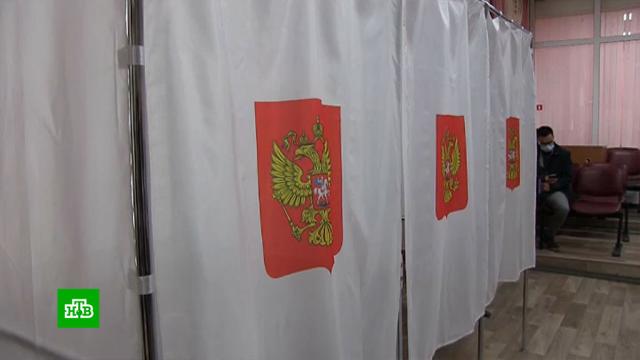 Явка на электронном голосовании в Курской и Ярославской областях превысила 50%