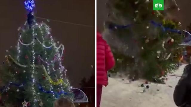 Пьяная россиянка залезла на верхушку елки в центре города — видео