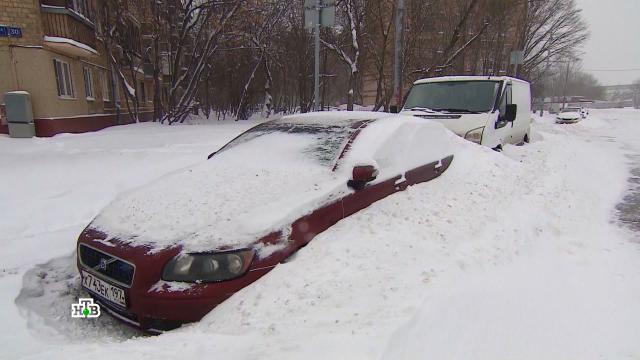 На смену рекордным снегопадам в Москву придут аномальные холода.зима, погода, погодные аномалии, снег.НТВ.Ru: новости, видео, программы телеканала НТВ
