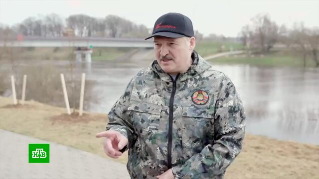 «Погреб подготовили»: заговорщики разрабатывали три сценария свержения Лукашенко.Белоруссия, Лукашенко, ФСБ, перевороты.НТВ.Ru: новости, видео, программы телеканала НТВ