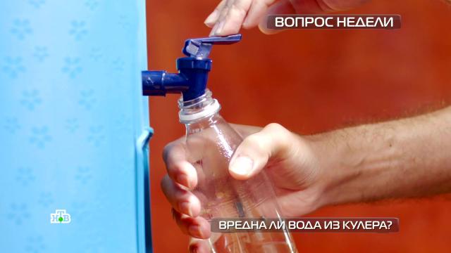 В чем опасность меламиновых губок?НТВ.Ru: новости, видео, программы телеканала НТВ
