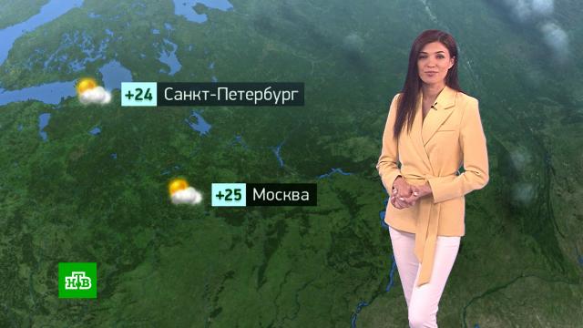 Екатерина решетилова 1996. Прогноз погоды аэропорт утренний. Прогноз погоды аэропорт утренний. Синоптики нтв. Нтв прогноз погоды екатерина решетилова.
