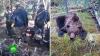 Турист отбился от медведя-убийцы с помощью ножа