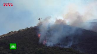 В Каталонии брошенный окурок стал причиной крупного пожара в природном парке