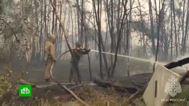 Отряды добровольцев встали на защиту Якутска от лесного пожара.МЧС, Якутия, лесные пожары.НТВ.Ru: новости, видео, программы телеканала НТВ