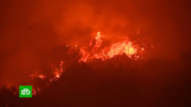 Пожар может уничтожить заповедник «Секвойя» в Калифорнии.США, лесные пожары, стихийные бедствия.НТВ.Ru: новости, видео, программы телеканала НТВ