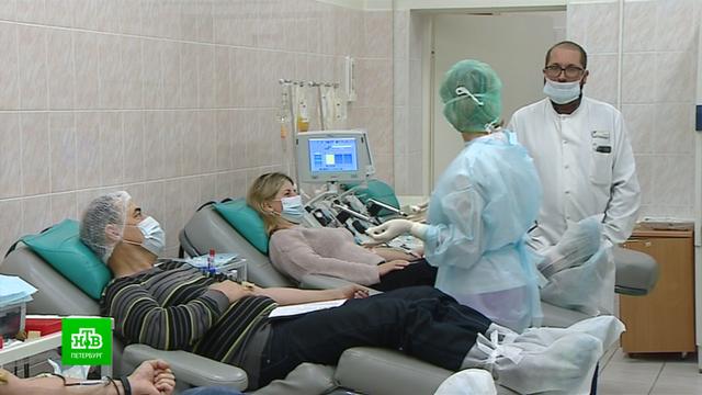 Спасти жизнь легко: как петербургские волонтеры привлекают горожан в доноры костного мозга.Санкт-Петербург, благотворительность, болезни, донорство, онкологические заболевания.НТВ.Ru: новости, видео, программы телеканала НТВ