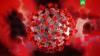 ВОЗ собирает новую команду ученых для расследования происхождения коронавируса