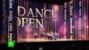 На юбилейном гала-концерте Dance Open блистали лучшие танцовщики мира