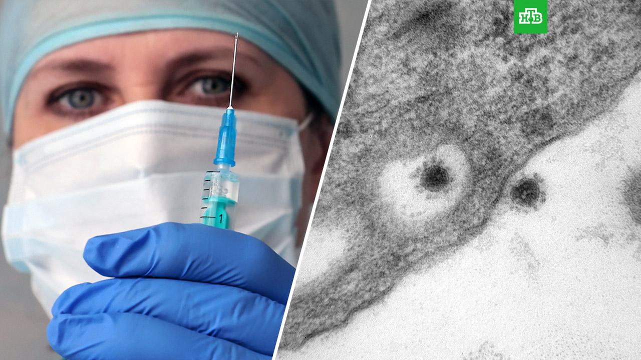 Особое внимание к подбору антигенов