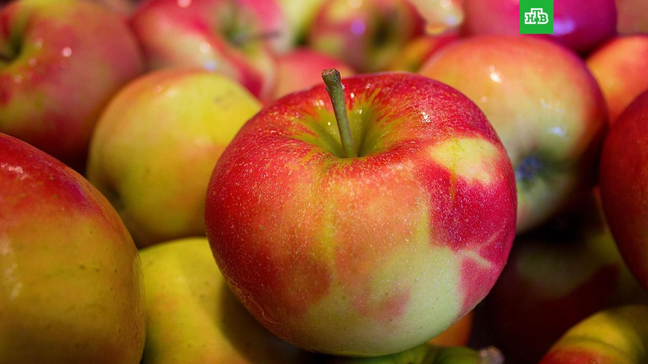 Пятно на белке глазного яблока — причины и лечение
