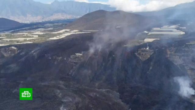 Извержение вулкана на испанском острове Пальма прекратилось.Испания, Канарские острова, вулканы, животные, собаки, стихийные бедствия.НТВ.Ru: новости, видео, программы телеканала НТВ