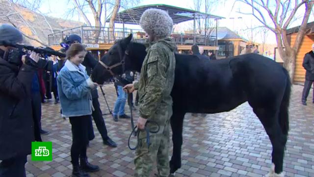 Школьнице из Дагестана подарили коня после письма Путину.Дагестан, Путин, животные.НТВ.Ru: новости, видео, программы телеканала НТВ