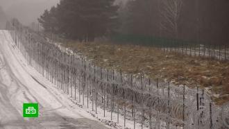 Польша заключила контракты на строительство забора на границе с Белоруссией