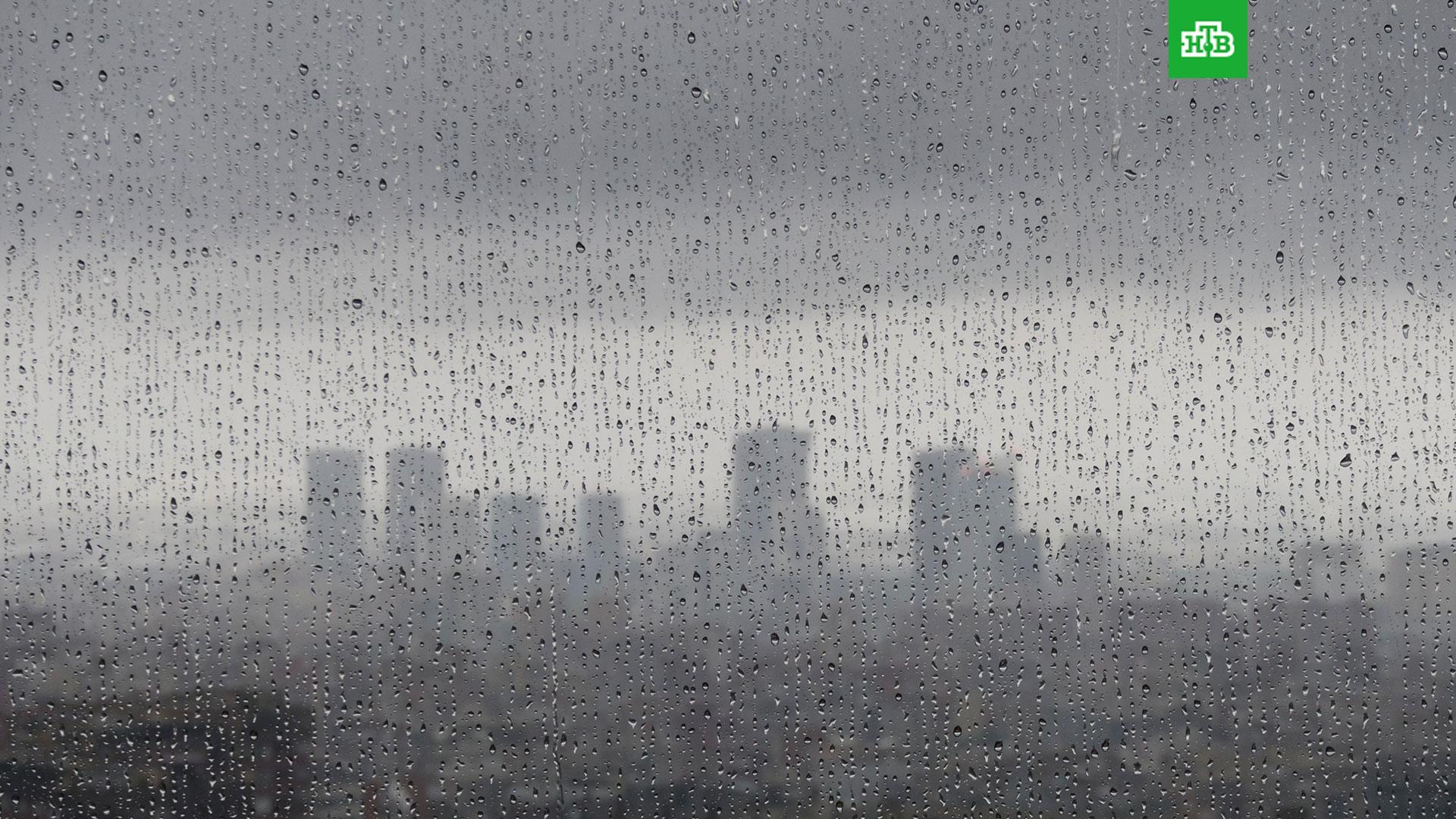 Сколько дождик. Дождливый день. Дождь в Москве. Дождливый четверг. Дождь в Москве сегодня.