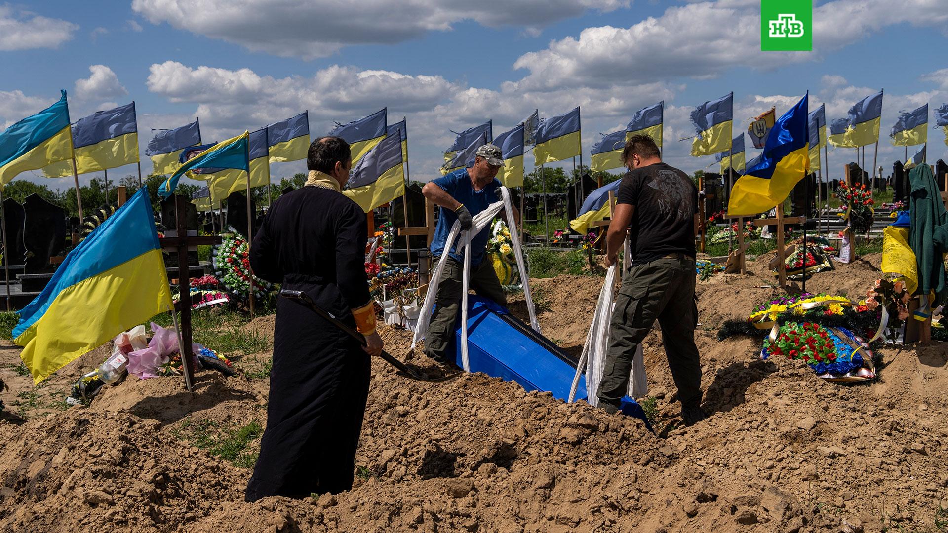 Украина война телеграмм ищи своих фото 47
