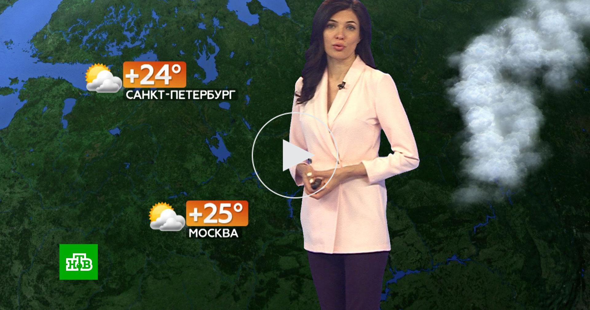 Видео прогноз на сегодня. Ведущие метеосводки на канале 24 Россия.