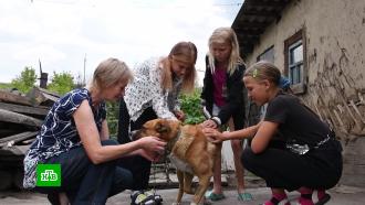 С заботой о животных: история спасения бездомного пса в Кемеровской области