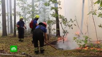 «Пришел ад на землю»: борьба с лесными пожарами развернулась в Центральной России 