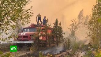 Кабмин: ситуация с лесными пожарами в РФ находится под контролем
