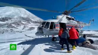 Спасатели эвакуировали тела погибших туристов и гида с Ключевского вулкана