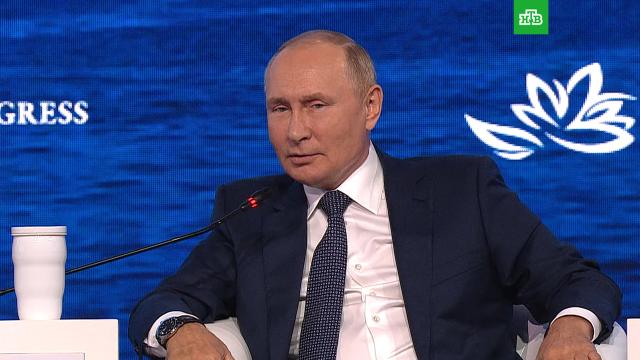 Путин: Россия готова включить оба «Северных потока» хоть завтра.Путин, Северный поток, газ, газопровод, санкции, энергетика.НТВ.Ru: новости, видео, программы телеканала НТВ