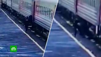 В Архангельской области полицейский спас упавшего под поезд мужчину 