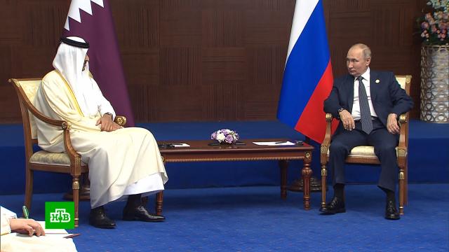 Путин пригласил эмира Катара в Россию.Катар, Путин, переговоры, футбол.НТВ.Ru: новости, видео, программы телеканала НТВ