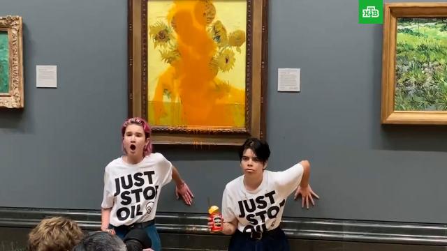 Экоактивистки облили супом картину Ван Гога «Подсолнухи» в лондонской галерее.Великобритания, вандализм, выставки и музеи, живопись и художники, искусство, митинги и протесты, экология.НТВ.Ru: новости, видео, программы телеканала НТВ