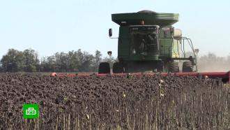 Фермеры ДНР собирают урожай на засыпанных снарядами и ракетами полях 