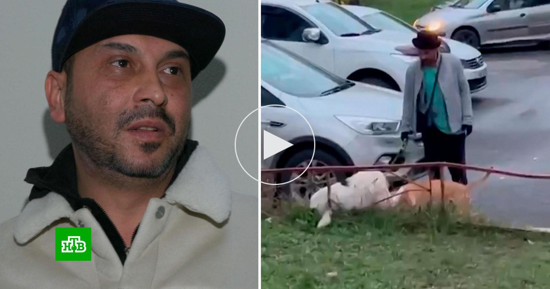 В Подмосковье хозяин стаффордширского терьера терроризирует соседей ...