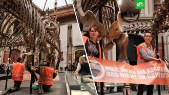 «Мы хотим вымереть или выжить?»: экоактивистки приклеили себя к скелету динозавра в Берлине