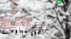 Синоптик: снегопады в Москве прекратятся к воскресенью