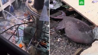 Полторы тысячи рыб из лопнувшего в Берлине аквариума погибли