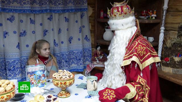 Девочка, чью мечту исполнил Путин, попила чай с Дедом Морозом и покормила его осла.Дед Мороз, Запорожская область, Путин, дети и подростки.НТВ.Ru: новости, видео, программы телеканала НТВ