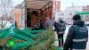 В Петербурге конфискуют нелегальные елки