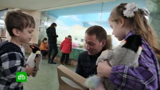 Члены правительства РФ исполнили мечты российских детей