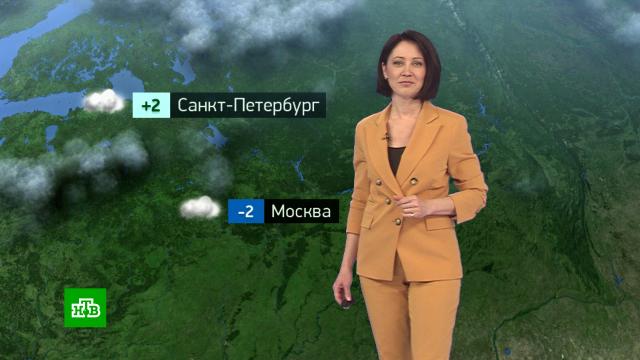 Утренний прогноз погоды на 25 января.погода, прогноз погоды.НТВ.Ru: новости, видео, программы телеканала НТВ