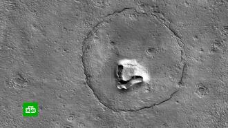 Спутник НАСА сфотографировал на поверхности Марса медвежью морду