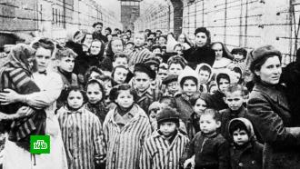 Российских дипломатов не пригласили на церемонию в годовщину освобождения Освенцима 