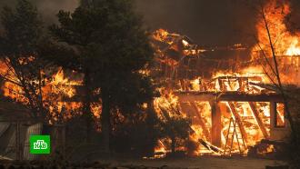 Жертвами лесных пожаров в Чили стали более 20 человек