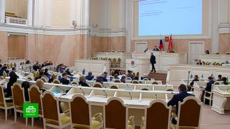 Петербургские депутаты меняют закон о казаках