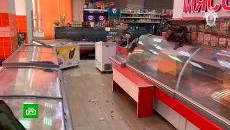В Подольске пять человек попали в больницу после травли тараканов в магазине