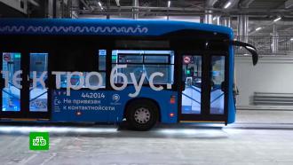 Заряженные на новые маршруты: как в Москве прижились электробусы