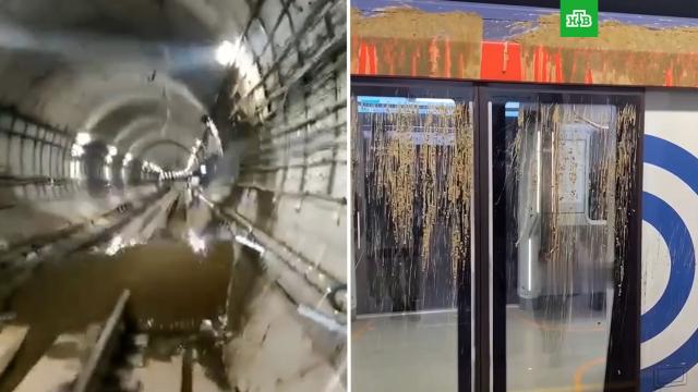 Сбой на БКЛ метро Москвы случился из-за песка и глины в тоннеле.Москва, метро.НТВ.Ru: новости, видео, программы телеканала НТВ