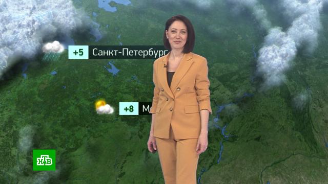 Утренний прогноз погоды на 22 марта.погода, прогноз погоды.НТВ.Ru: новости, видео, программы телеканала НТВ