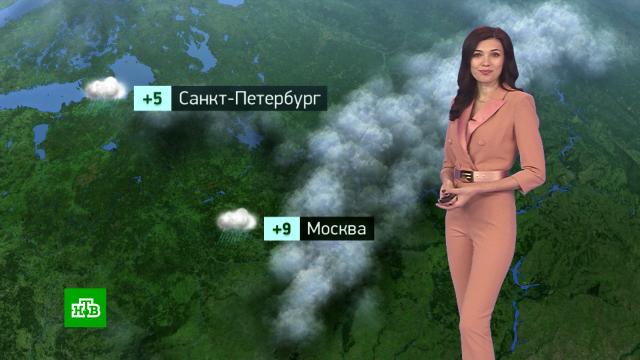 Утренний прогноз погоды на 24 марта.погода, прогноз погоды.НТВ.Ru: новости, видео, программы телеканала НТВ